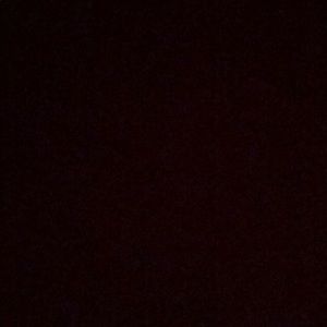 Meet your Posher, Ricky